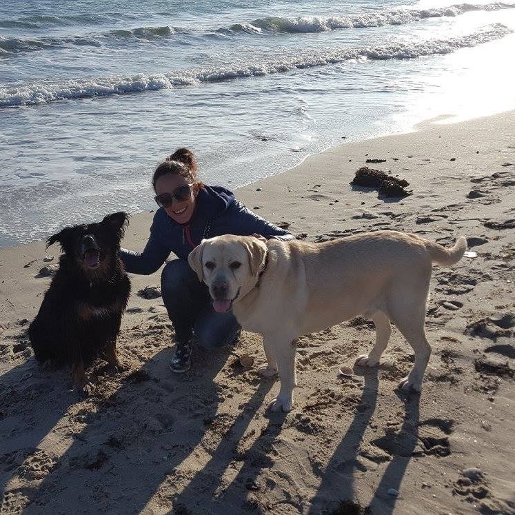 Educateur Canin Educateur Canin